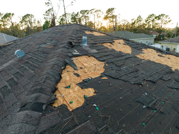 Best Steel Roofing  in Mccordsville, IN